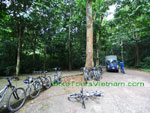 biketoursvietnam_cucphuong_nationalpark