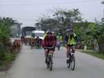 Biking Cycling Vietnam